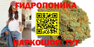 ECSTASY Бийск