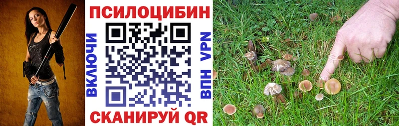 Псилоцибиновые грибы Magic Shrooms  Екатеринбург 
