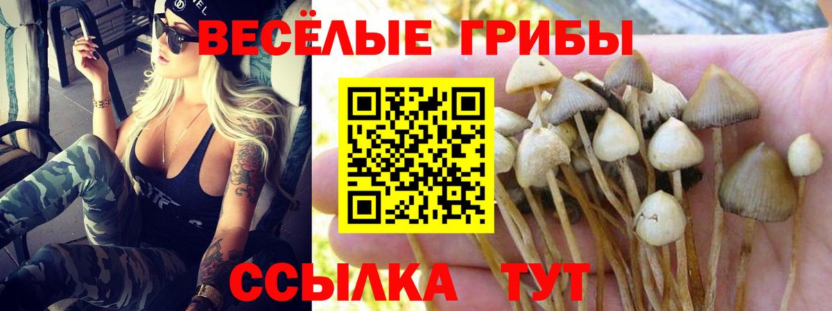 Екатеринбург  Галлюциногенные грибы Magic Shrooms  Вход с VPN  Галлюциногенные грибы ЛСД 