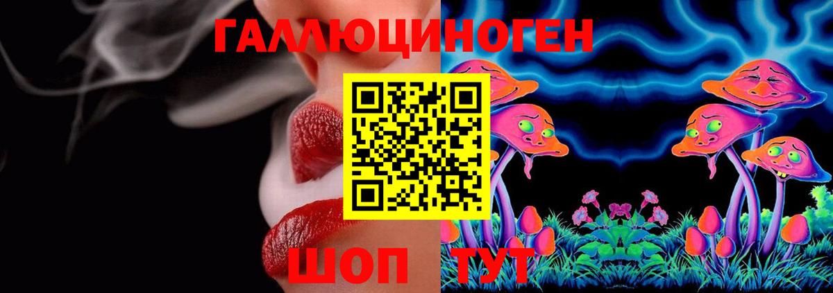 Галлюциногенные грибы Psilocybe  Екатеринбург  Галлюциногенные грибы MAGIC MUSHROOMS 